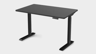 The flexispot sanodesk electric height adjustable gaming desk